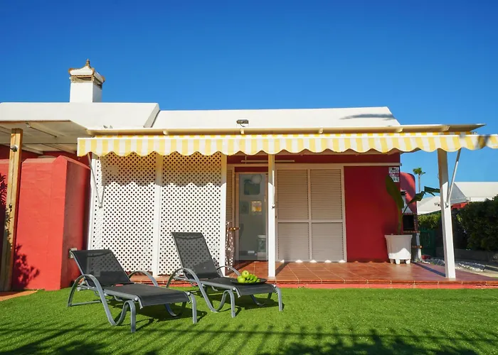 Los albaricoques Maspalomas 
